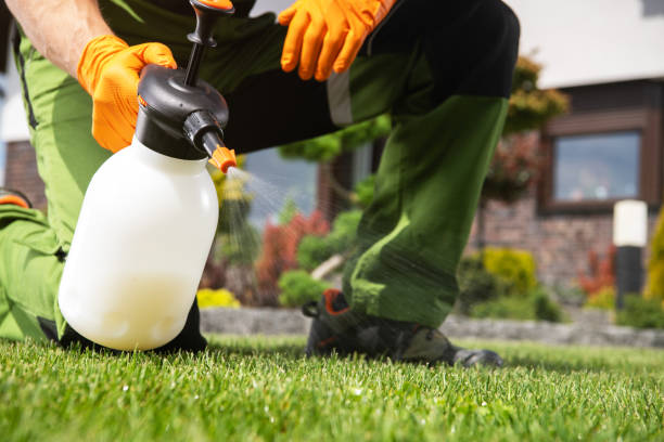 Best Wasp Removal Services  in Wood Village, OR