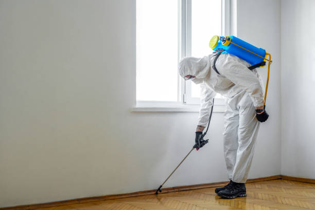  Wood Village, OR Pest Control Pros