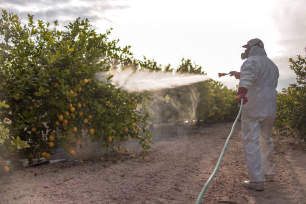 Best Pest Control Near Me in Wood Village, OR