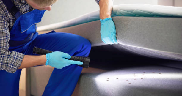 Best Best Pest Control Companies  in Wood Village, OR