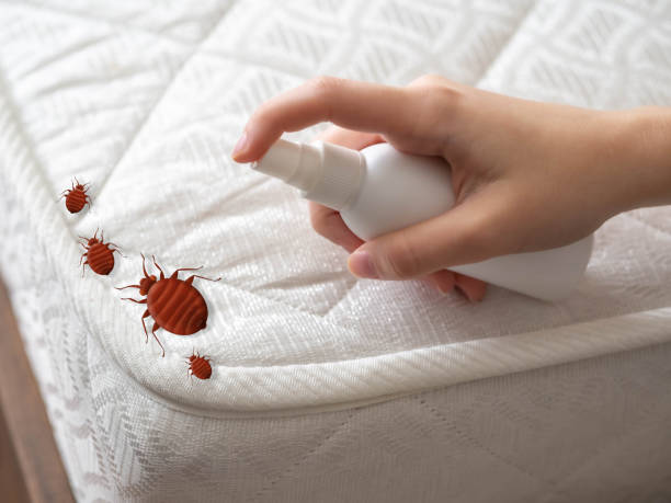 Best Pest Removal Services  in Wood Village, OR