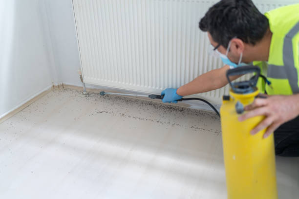 Best Bed Bug Extermination  in Wood Village, OR